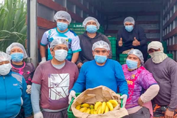 Asociación Agropecuario Hijos de Ishanca desde su fundo de plátanos ubicado en Supe se integran a mercados competitivos.